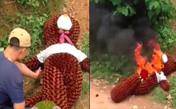 Cô gái từ chối khiến chàng trai bộc phát cảm xúc, quyết định đốt chú gấu bông và cả bó hoa tỏ tình.
