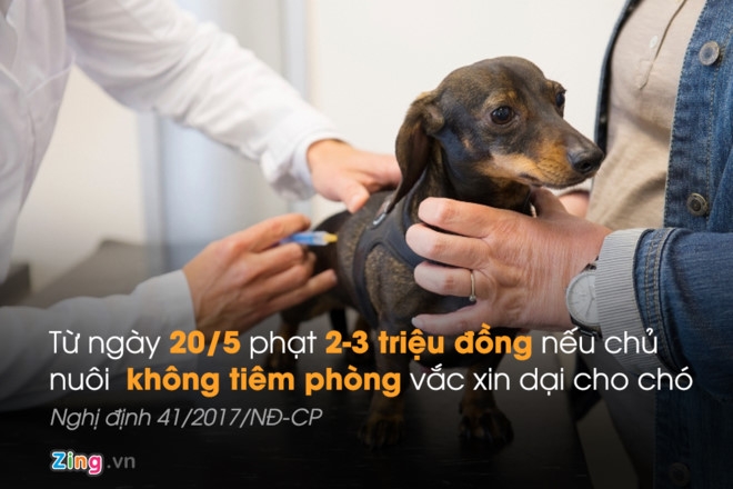 Nhung chinh sach co hieu luc tu thang 5 hinh anh 1