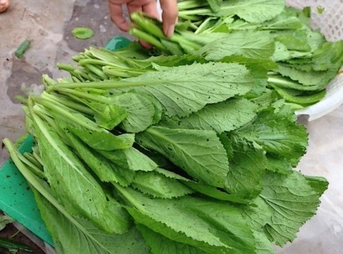 cach-nhan-biet-5-loai-rau-hay-bi-phun-hoa-chat