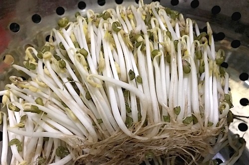 cach-nhan-biet-5-loai-rau-hay-bi-phun-hoa-chat-1