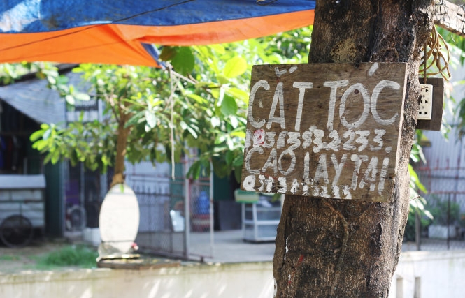 Treo biển quảng cáo trên cây: phạt 10 triệu đồng 