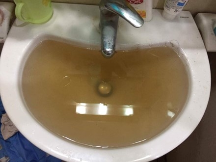 Nước sạch có giun, dân chung cư phát sốt ảnh 1