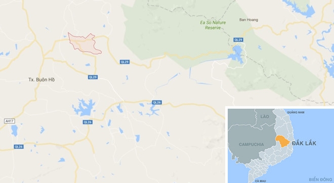 Bia chuyen bi bat coc de doi gia dinh dua tien chuoc hinh anh 1