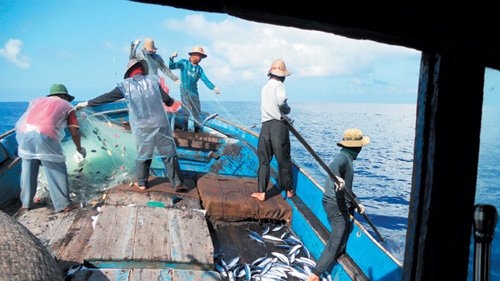 Chủ quyền, Hoàng Sa, Biển Đông, Luật Biển