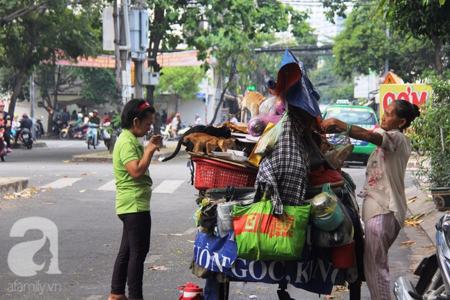 Không gia đình, cụ bà 87 tuổi ngủ lề đường chăm bẵm đàn con 20 chú mèo bị bỏ rơi giữa Sài Gòn - Ảnh 5.