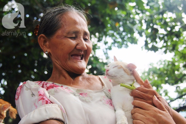 Không gia đình, cụ bà 87 tuổi ngủ lề đường chăm bẵm đàn con 20 chú mèo bị bỏ rơi giữa Sài Gòn - Ảnh 6.