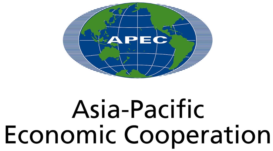 ban linh va tam nhin chien luoc cua viet nam thong qua apec 2017 hinh anh 2