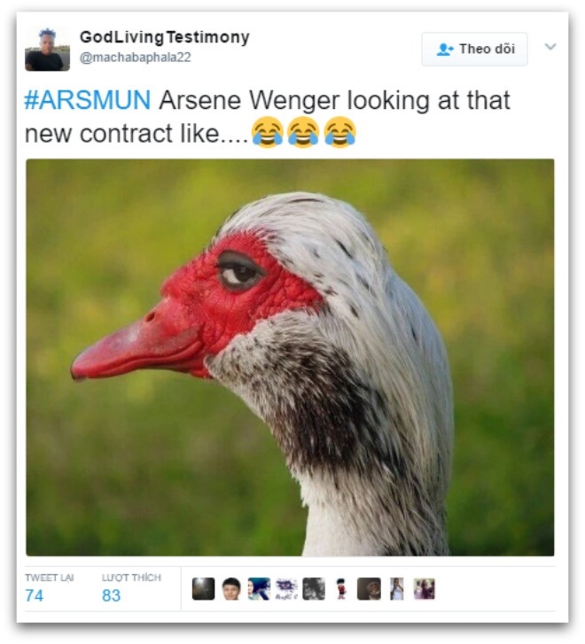 'MU thua Arsenal vi Mourinho khong muon Wenger bi sa thai' hinh anh 4