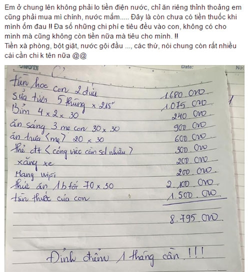 me tre luong 6 trieu, nuoi 2 con het 8 trieu, thang 5 thung sua khien dan mang “chong mat” - 1