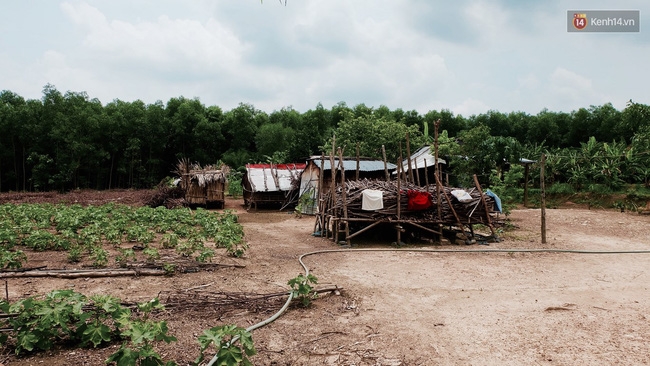 Túp lều lá trên đồi tràm và câu chuyện tình giản dị của hai vợ chồng khuyết tật ở Đồng Nai - Ảnh 2. Túp lều lá trên đồi tràm và câu chuyện tình giản dị của hai vợ chồng khuyết tật ở Đồng Nai - Ảnh 2.
