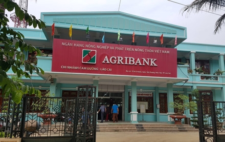 “Nữ quái” gây vụ lừa trăm tỷ quan hệ thế nào với Agribank Lào Cai? ảnh 1