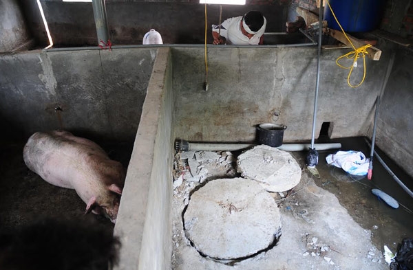 gion mat voi tu than khi tu y xay ham biogas hinh anh 1