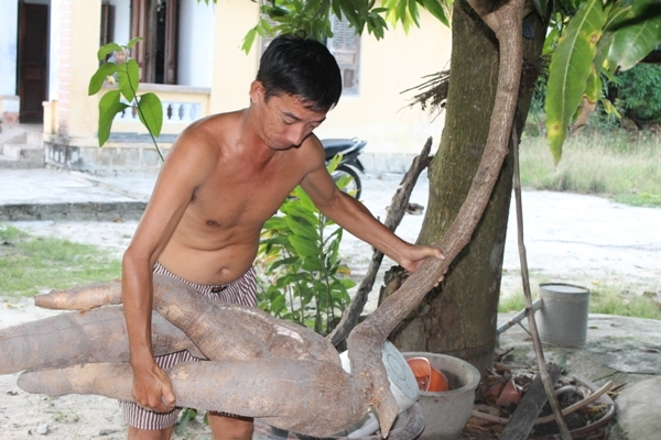 khanh hoa: dao trung cu san dai hon 2m, co hinh thu giong nguoi ca hinh anh 3