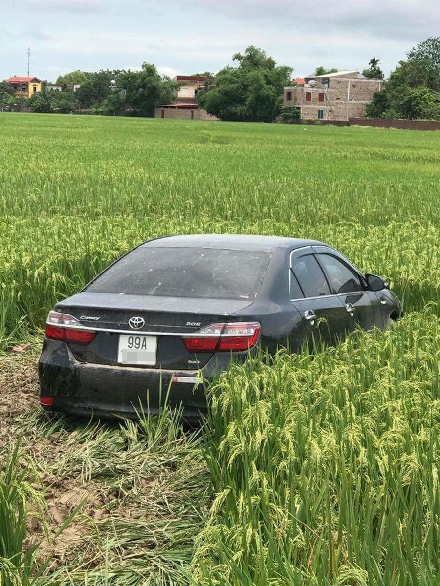 Khoanh ruong bi cay nat khi xe Camry tong chet 3 nam sinh hinh anh 2