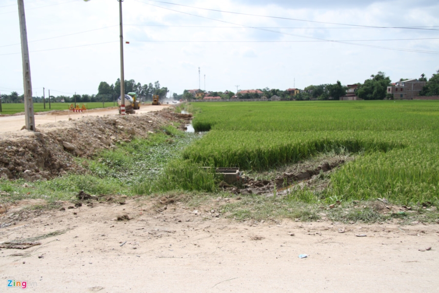 Khoanh ruong bi cay nat khi xe Camry tong chet 3 nam sinh hinh anh 6