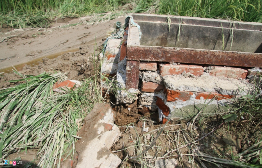 Khoanh ruong bi cay nat khi xe Camry tong chet 3 nam sinh hinh anh 7