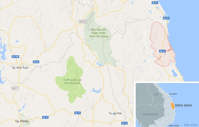 Thue oto vuot 700 km den Binh Dinh dot nhap tiem vang hinh anh 3