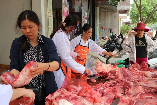SỐC: Mất 10.000 tỷ đồng từ cuộc đại khủng hoảng lợn - 3