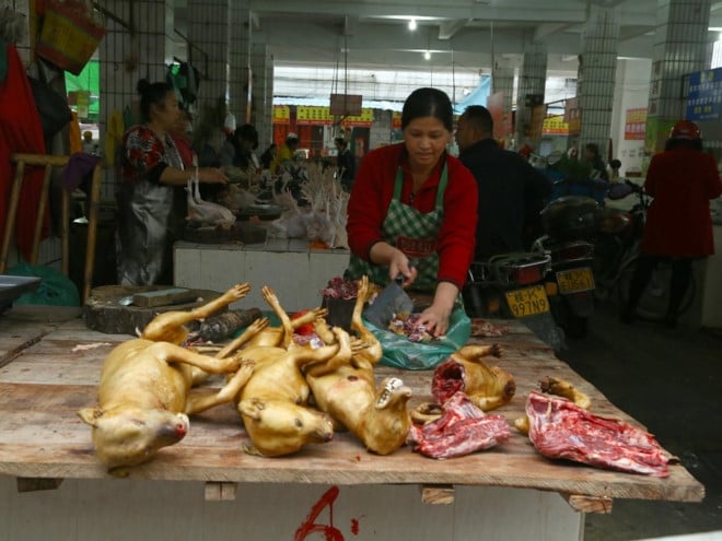 Trung Quoc se cam ban thit cho o le hoi tai tieng hinh anh 1