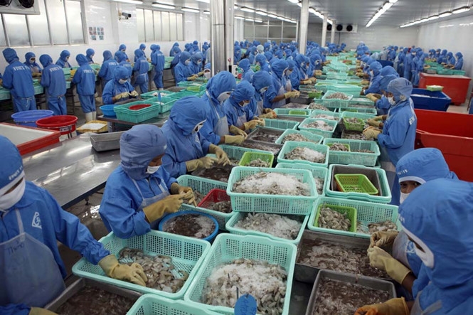 Phí thẩm định cấp giấy chứng nhận thực phẩm xuất khẩu khiến doanh nghiệp ngành thủy sản mất tiền tỉ mỗi năm /// Ảnh: Dũng Minh