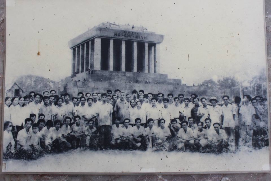 Lăng Chủ tịch Hồ Chí Minh, hàng tre bên Lăng Bác