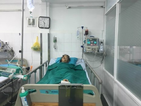 Đút rơm cho bò ăn, cụ bà bị gãy 8 xương sườn - ảnh 1