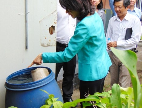 'Muỗi quý tộc' tấn công trên 6.500 dân TP.HCM - ảnh 1