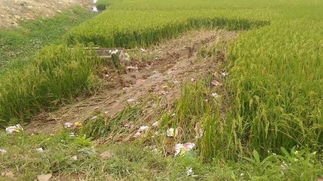 vu xe camry dam chet 3 nguoi o bac ninh: “toi nho con nhieu lam” hinh anh 1