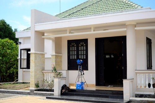 Việt Trinh, Diễn viên Việt Trinh, sao việt