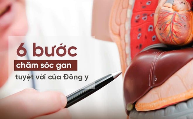 Cách chăm sóc gan của người xưa: 6 bí mật đơn giản ai cũng nên tham khảo!