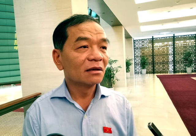 Đại biểu Quốc hội Lê Thanh Vân đề nghị phải có hình thức kỷ luật thích đáng với những sai phạm trong vấn đề tài chính ngân sách (ảnh: BD)