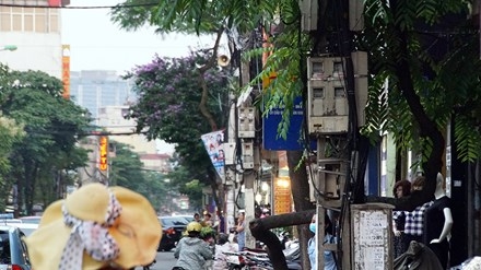 Biển báo giao thông 'thách thức' người đi đường Thủ đô ảnh 10