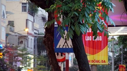 Biển báo giao thông 'thách thức' người đi đường Thủ đô ảnh 14
