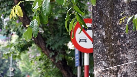 Biển báo giao thông 'thách thức' người đi đường Thủ đô ảnh 15