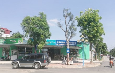 Cận cảnh loạt công trình vi phạm được “đặc cách” ở Gia Lâm ảnh 3