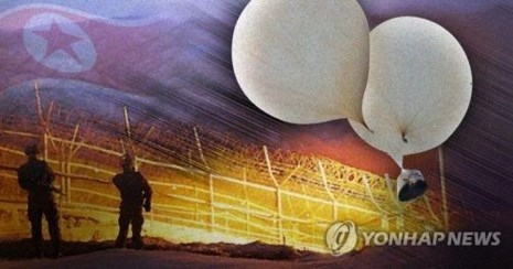 Triều Tiên nói Hàn Quốc bắn nhầm ... chim trời - ảnh 1