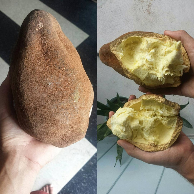 Những loại quả vừa lạ tai vừa lạ mắt hiếm có trên thế giới, số 3 thần kỳ như tên gọi - Ảnh 8.