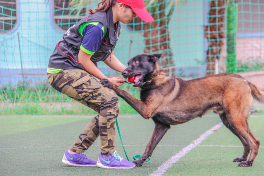  Ben trong trai huan luyen cho bao ve cua vo su karatedo hinh anh 2