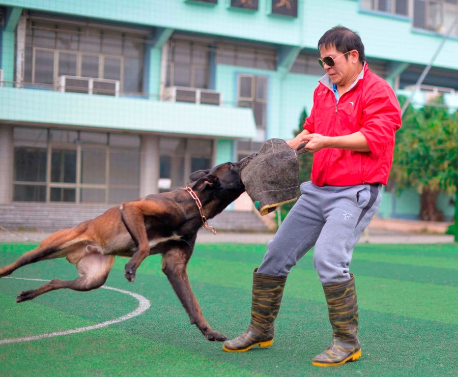  Ben trong trai huan luyen cho bao ve cua vo su karatedo hinh anh 4