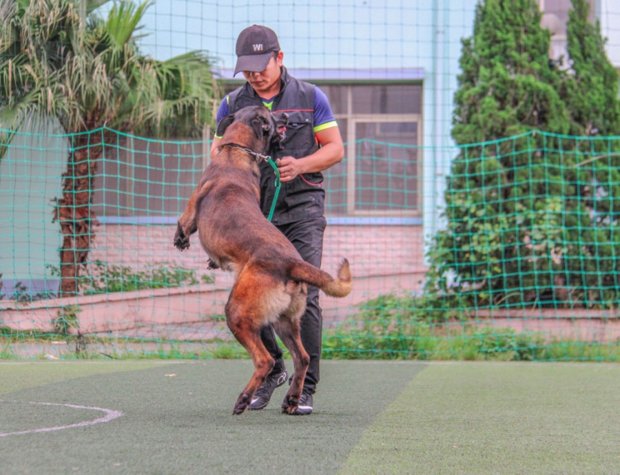  Ben trong trai huan luyen cho bao ve cua vo su karatedo hinh anh 7