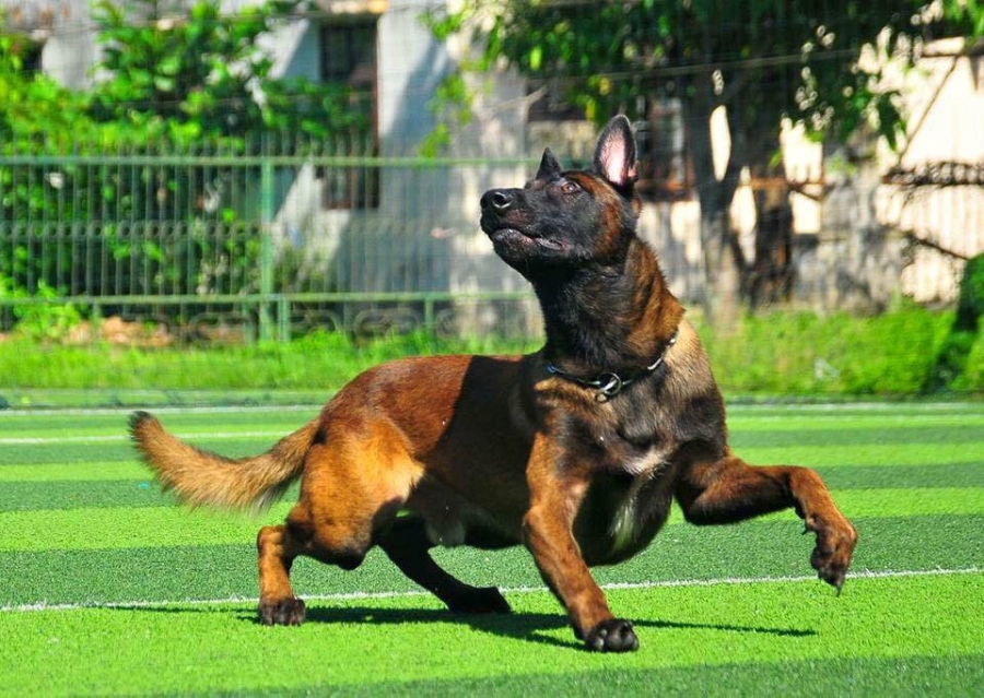  Ben trong trai huan luyen cho bao ve cua vo su karatedo hinh anh 9