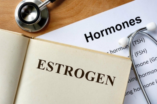 Nội tiết tố đặc biệt là estrogen có vai trò quyết định với phụ nữ về nhiều. Ảnh: doctor.