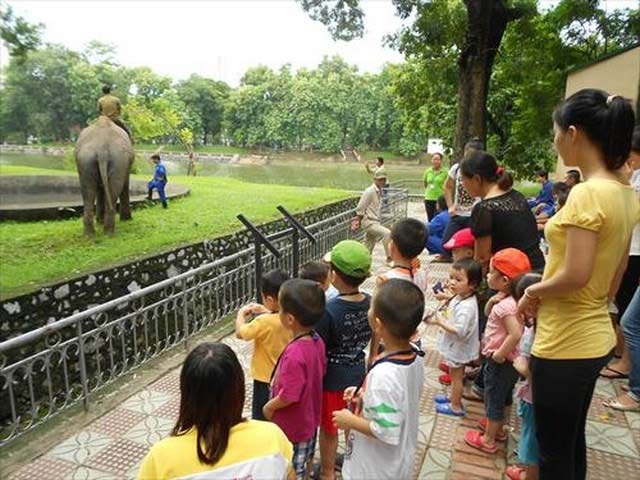 Ngày 1/6, Ngày thiếu nhi, bảo tàng, công viên