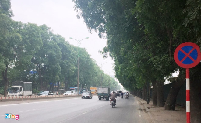 Ha Noi sap chat ha, chuyen hon 1.300 cay xanh hinh anh 2