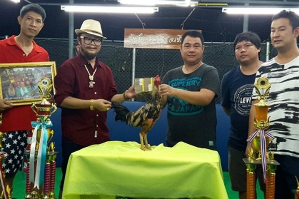 Te ngua voi li do khien chu ga trong da co gia gan 700 trieu dong