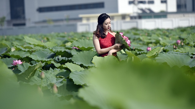  Cụ thể, chi phí phải bỏ ra cho việc chụp ảnh khoảng 500 - 600 nghìn, đã bao gồm công chụp ảnh, photoshop, trang điểm và in ảnh, chưa kể đến tiền vé vào hồ và tiền thuê áo dài là 100 nghìn một bộ, áo yếm là 80 nghìn. 