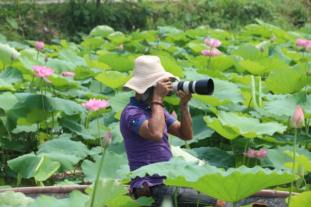 Nhiều thợ ảnh hăng say lao động bất chấp thời tiết nắng nóng.