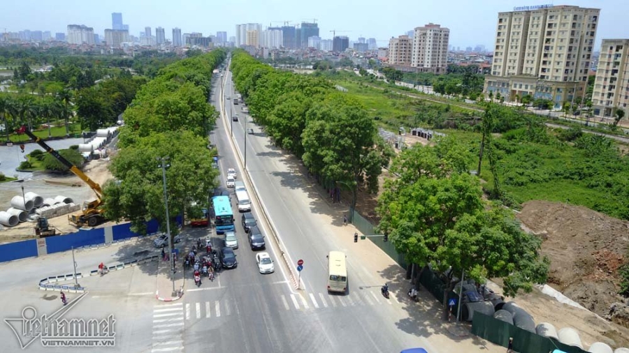 cây xanh, chặt hạ cây xanh, xà cừ, chặt cây