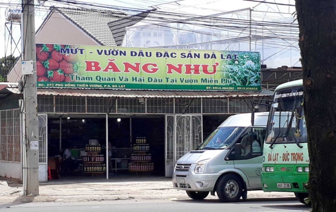 Xu phat hanh chinh chu tiem mut o Da Lat danh khach hinh anh 1