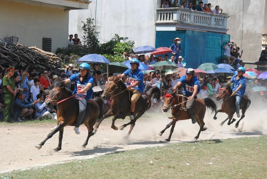 hang nghin nguoi xem dua ngua o bac ha bat chap nang nong 40 do c hinh anh 2